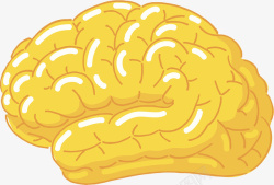 卡通金色大脑素材