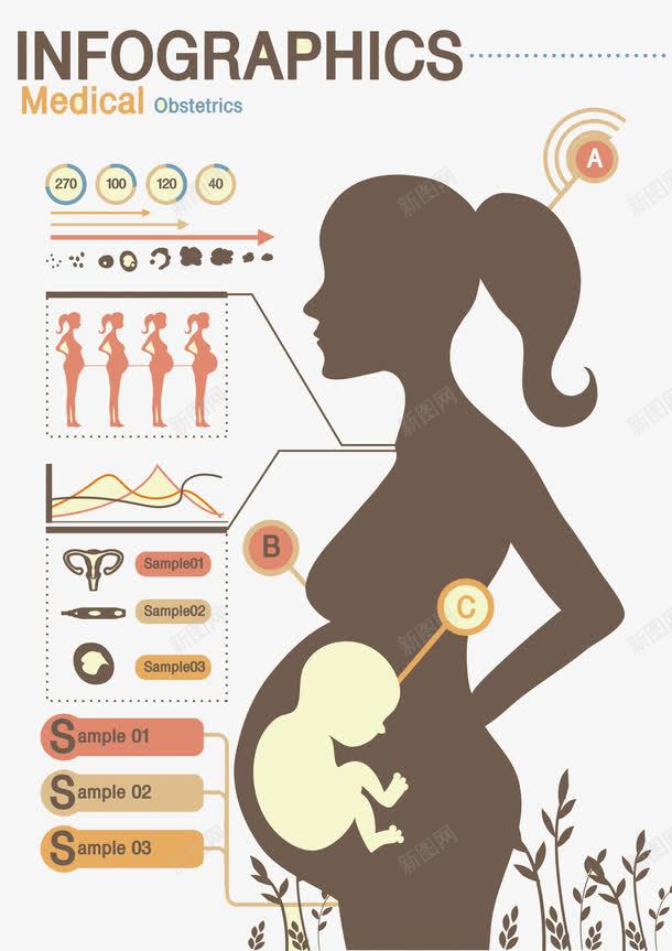 孕妇肚子里的胎儿png免抠素材_新图网 https://ixintu.com 卡通 呵护子宫 子宫 孕妇 孕妈咪 孕育生命 生殖器官 盆腔 胎儿