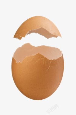 鸡蛋碎蛋壳高清图片