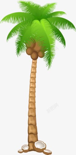 椰叶一棵椰树高清图片