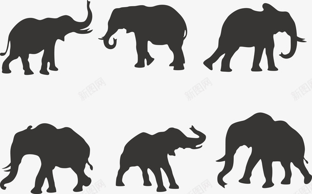 6款大象剪影png免抠素材_新图网 https://ixintu.com 大象 大象logo 大象剪影 大象矢量