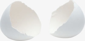 破碎的蛋壳png免抠素材_新图网 https://ixintu.com 白色 破碎的 破碎的蛋壳免费下载 脆弱的蛋壳 自然 裂解 鸡 鸡蛋