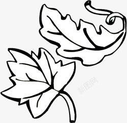 信图标手绘手绘的简笔画树叶图标高清图片