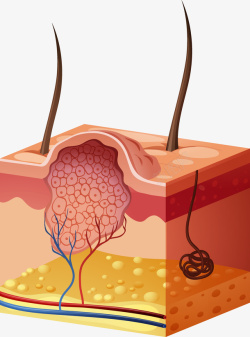 卡通医学皮肤细菌矢量图素材