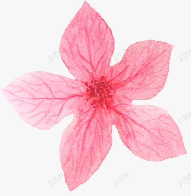粉红色清晰纹理花朵png免抠素材_新图网 https://ixintu.com 娇艳 清晰纹理 粉红色 红色花蕊 芬芳 花朵