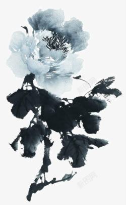 写意中国画手绘花卉高清图片