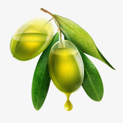 橄榄油背景晶莹剔透的橄榄高清图片