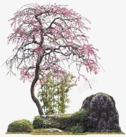 开满开满桃花的树黑色石头高清图片
