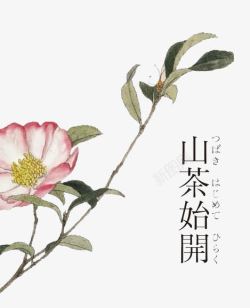 山茶花树枝素材