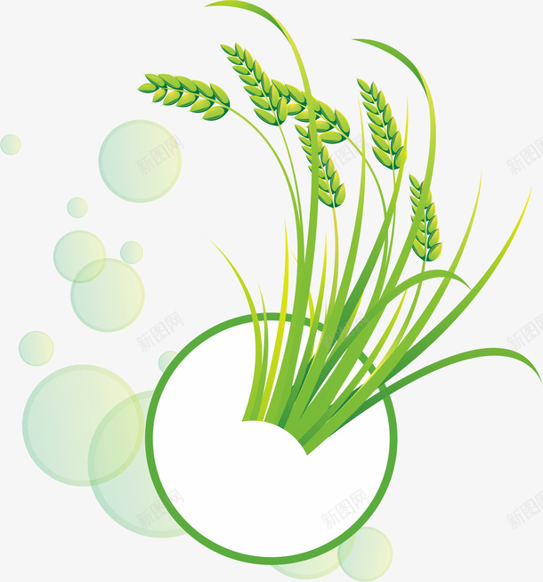 卡通绿色麦子麦穗png免抠素材_新图网 https://ixintu.com 卡通 庄稼 手绘图 植物 粮食 绿植 麦子 麦穗
