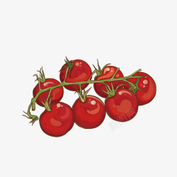 西红柿免扣PNG图卡通圣女果矢量图高清图片