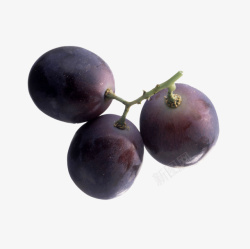 三颗黑色葡萄水果素材