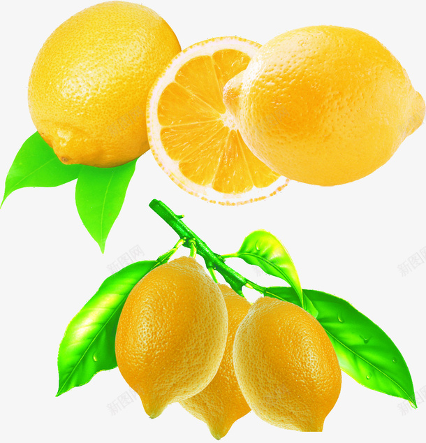 带叶子的黄柠檬png免抠素材_新图网 https://ixintu.com 叶子 多个 柠檬 黄色
