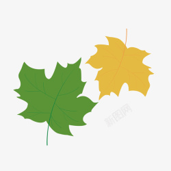 唯美的枫叶两片黄色绿色扁平化唯美枫树叶子矢量图高清图片