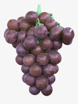 一串紫葡萄素材