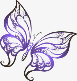 紫色光晕飞翔的黑色蝴蝶高清图片