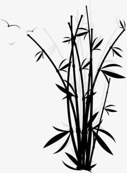 茎叶黑色的竹子高清图片