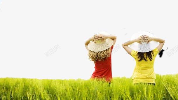 夏日两个女孩仰望图png免抠素材_新图网 https://ixintu.com 夏天 清新 背影 阳光