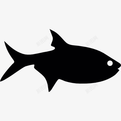 鱼的轮廓图标png_新图网 https://ixintu.com 动物 海 海洋动物 海鲜 鱼 鱼类