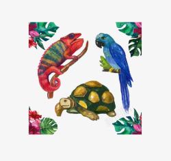 水彩海龟水彩绘热带动物高清图片