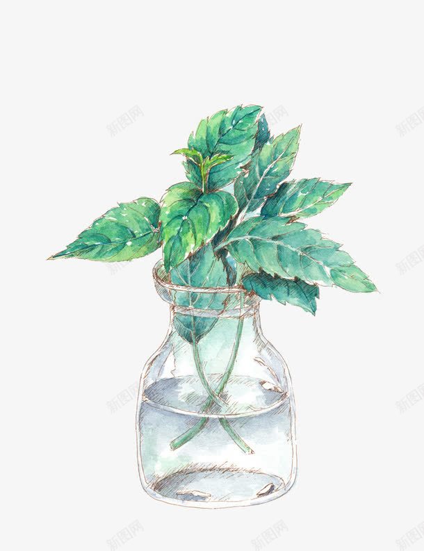 卡通手绘插水瓶的绿色植物png免抠素材_新图网 https://ixintu.com 卡通 手绘 水瓶 绿叶 绿色植物