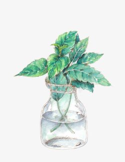 卡通手绘插水瓶的绿色植物素材
