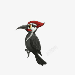 啄木鸟免抠图片卡通扁平化黑色啄木鸟高清图片