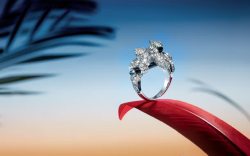 钻石高峰会海报图片红色羽毛上的钻石戒指海报背景高清图片