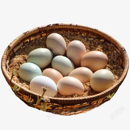 一篮子土鸡蛋png免抠素材_新图网 https://ixintu.com 土鸡蛋 蛋类 食物 鸡蛋