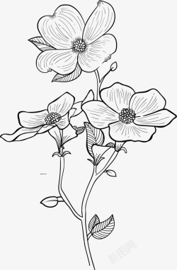 扁平花朵背景茂盛的卡通风格山茱萸花矢量图高清图片