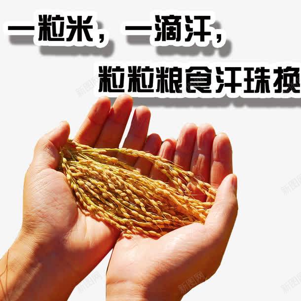 水稻拒绝浪费png免抠素材_新图网 https://ixintu.com 一滴汗 一粒米 勤俭节约 反对铺张 手托 拒绝浪费 水稻 白米饭 粮食