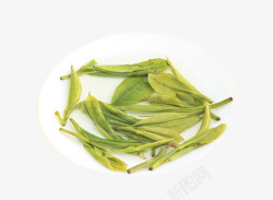 泡开的茶叶细长的绿色毛尖茶高清图片