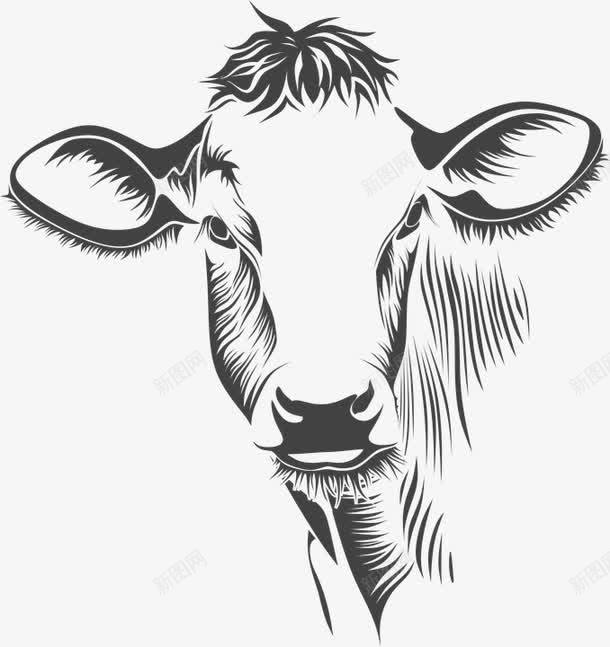 牛牛头素描png免抠素材_新图网 https://ixintu.com 牛 牛头 素描 黑白牛头