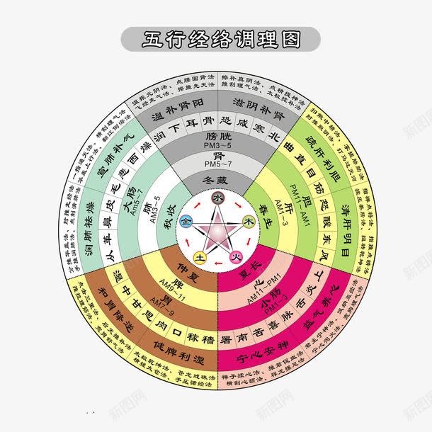 五行经络调理图png免抠素材_新图网 https://ixintu.com 中医 五行 经络 背部 针灸