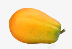 黄色完整成熟的熟木瓜实物素材
