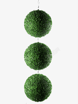 小草的三个角度吊篮花球高清图片