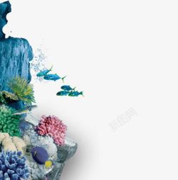 海底世界美丽珊瑚素材
