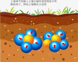 调节土壤酸碱度示意图卡通肥料在土壤中调节酸碱度示意高清图片