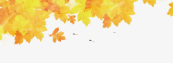 中国风黄色秋分落叶秋分秋天深秋黄色叶子高清图片