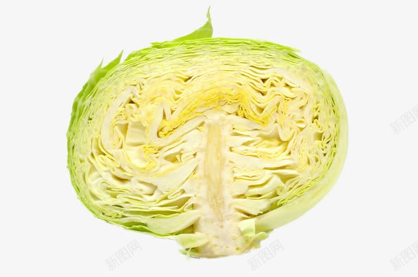 切开的包菜png免抠素材_新图网 https://ixintu.com png图片 产品实物 切开的包菜 吃出健康 时令蔬菜 绿色食品免费png 进口蔬菜