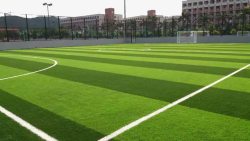 曲棍球球场足球场草坪可适用于足球场高清图片