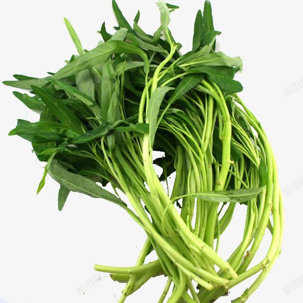 绿色空心菜png免抠素材_新图网 https://ixintu.com 吃的 空心菜 绿色 蔬菜 长条