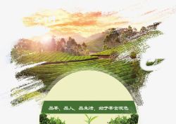 茶叶宣传海报图片中国风茶叶宣传海报高清图片
