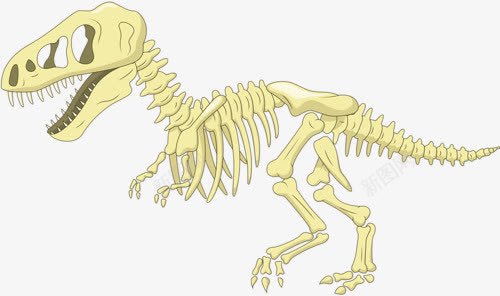 恐龙化石png免抠素材_新图网 https://ixintu.com 侏罗纪 卡通恐龙 巨型动物 远古生物