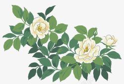 山茶花素材