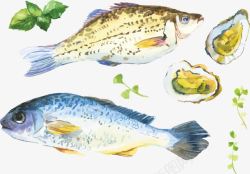 水彩鱼肉手绘食物高清图片
