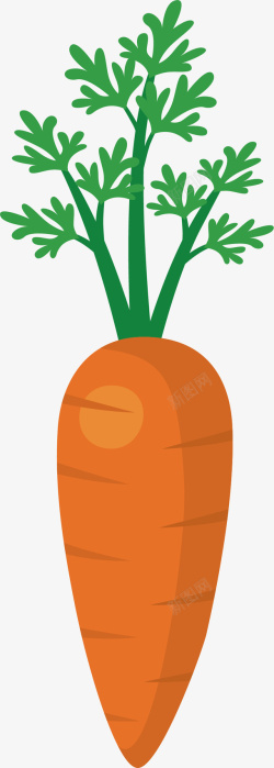 超市坚果新鲜的胡萝卜矢量图高清图片