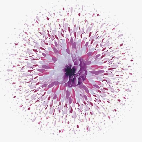 紫色爆炸开来的花朵png免抠素材_新图网 https://ixintu.com 创意 墨点 开花 散开 爆炸 紫色花朵 绽放 绽放的水墨