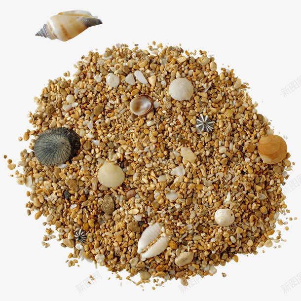 沙粒中的贝壳png免抠素材_新图网 https://ixintu.com 沙粒 装饰 贝壳 黄色