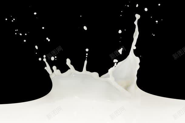 溅起的奶花jpg设计背景_新图网 https://ixintu.com 其它类别 图片素材 奶纹 奶花 溅起 溅起的奶花图片 溅起的奶花图片素材下载 牛奶 背景花边 食物 饮料